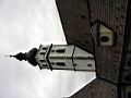 IMG_3009.JPG